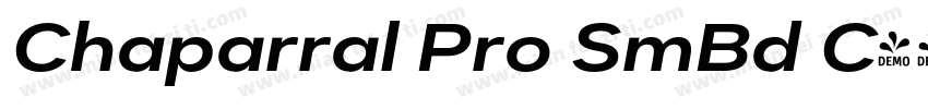 Chaparral Pro SmBd C字体转换